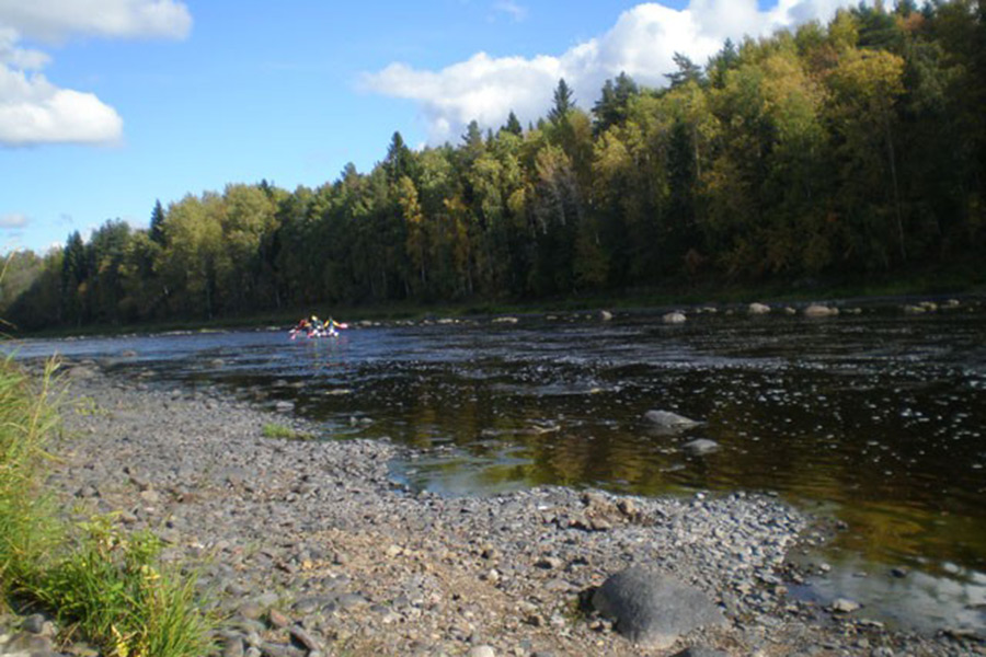 Рыбалка на р Шуя в Карелии