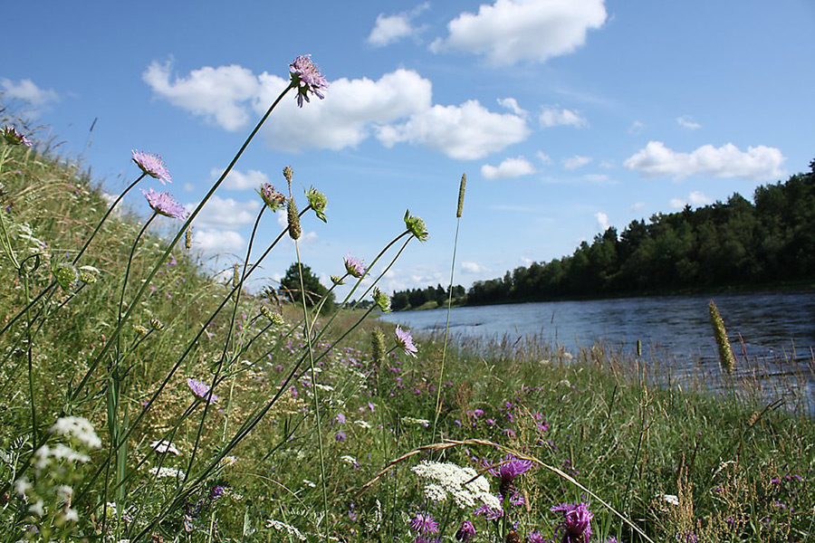 Рыбалка на реке Шуя
