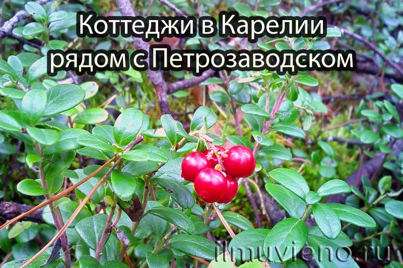 Коттеджи в Карелии рядом с Петрозаводском