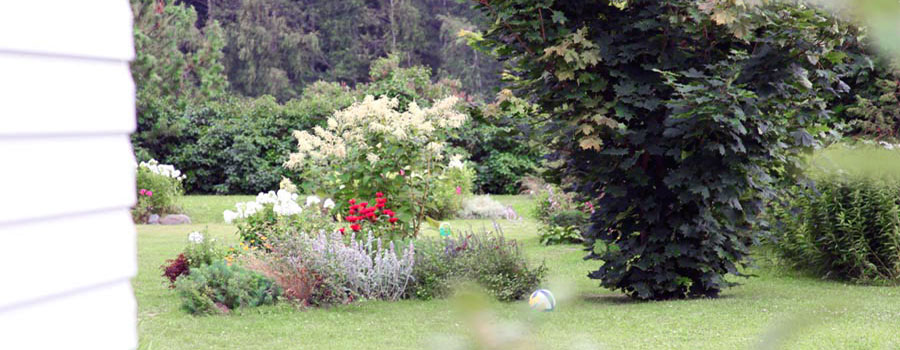 Участок коттеджа в Карелии