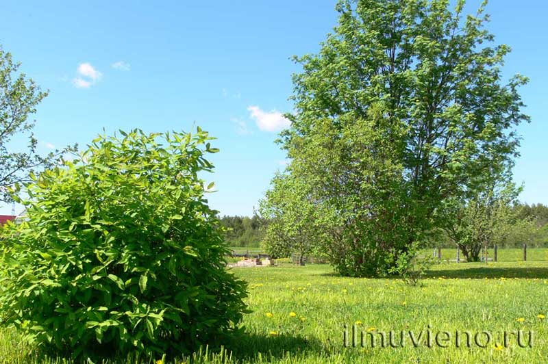 участок гостевого дома в Карелии