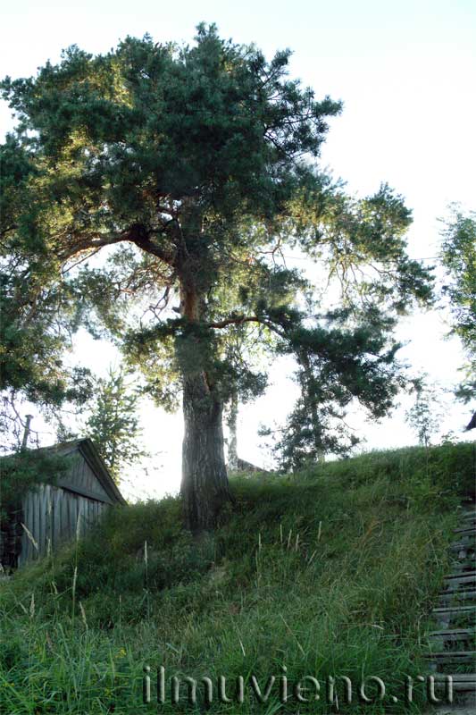 Отдых в Карелии