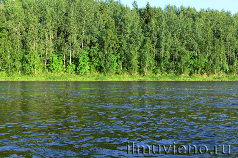 Река Шуя в Карелии