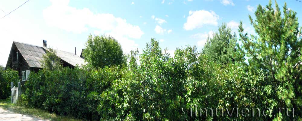 Сдам коттедж с изгородью в Карелии напрямую от хозяина