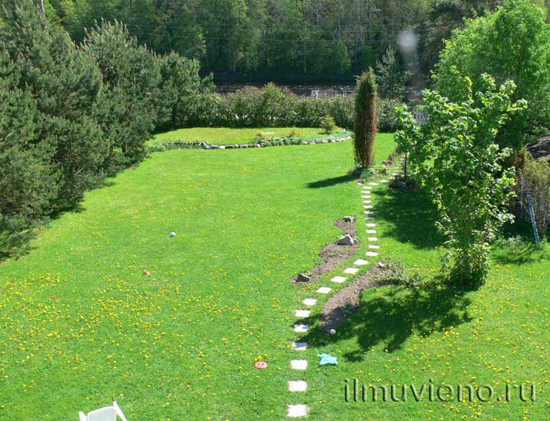 Газон, коттедж с газоном, участок около реки Шуя